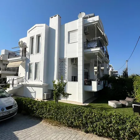 Primavera חניוטי