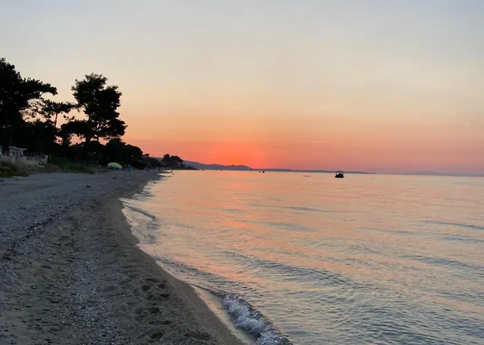 Villa Primavera Chaniotis